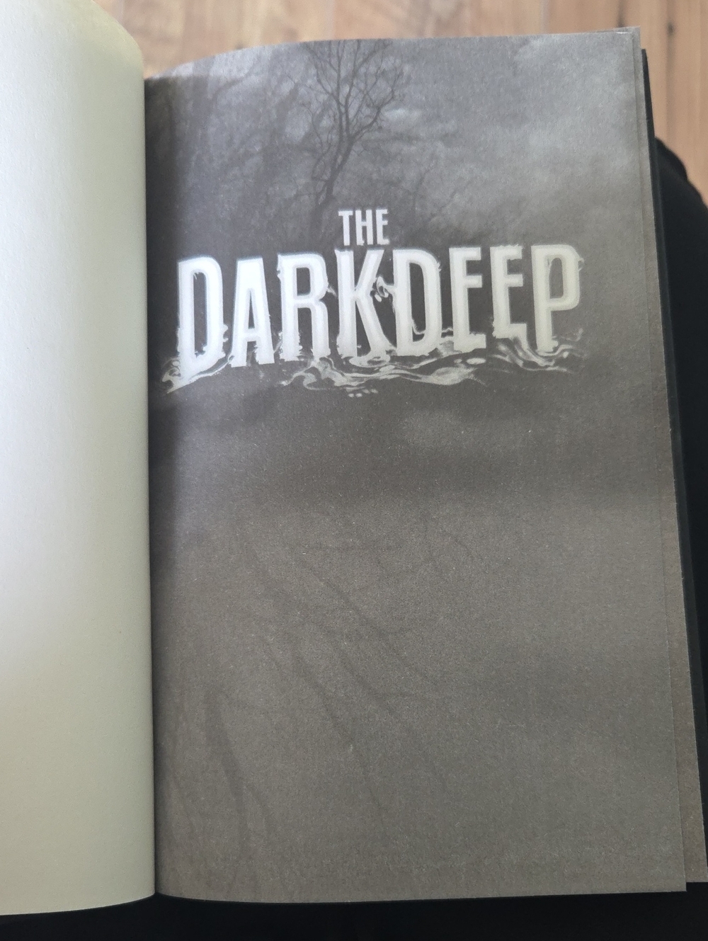 Ally Condie Brendan Reichs | The Dark Deep Hardcover Book